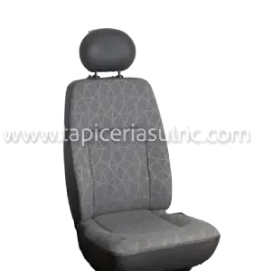 Renault master acompañante