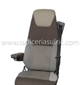 Renault premium neumatico